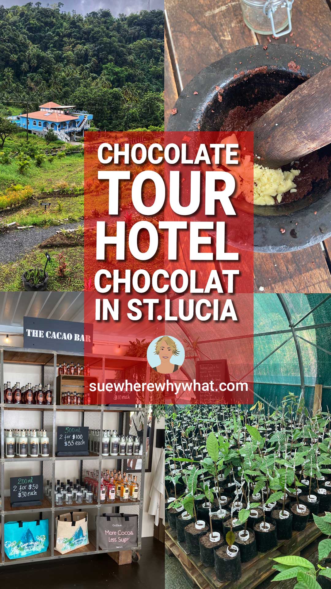 St Lucia Chocolate Tour: The Hotel Chocolat Tree to Bar Experience