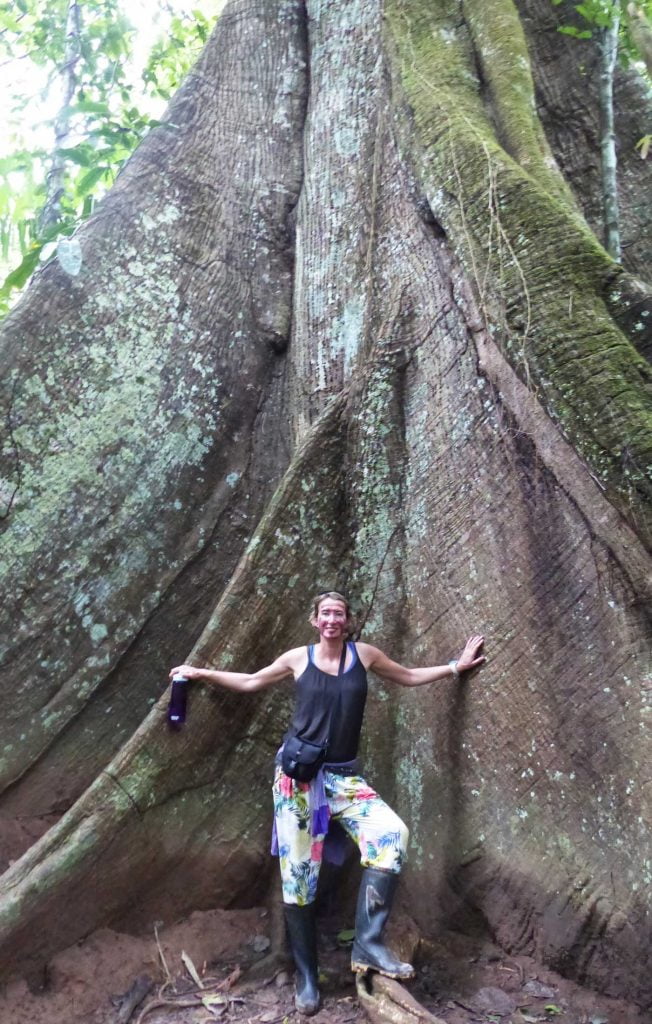 SueWhereWhyWhat is dwarfed by the roots of a giant tree in the Amazon Rainforest Warrior, Peru. Interested to See What's on my Life list?