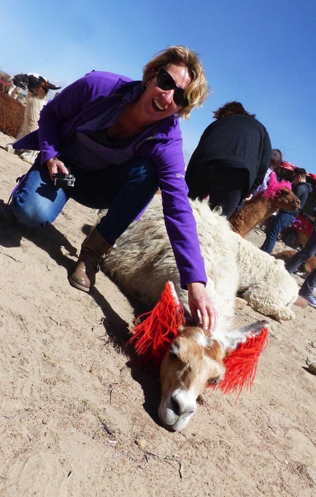 A blonde woman in a purple top and sun glasses kneel to stroke a llamas head as it lays with it's chin on the floor