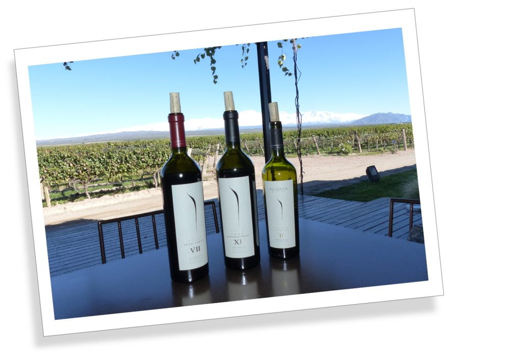 Bodega Ruca Malen, Mendoza, Argentina