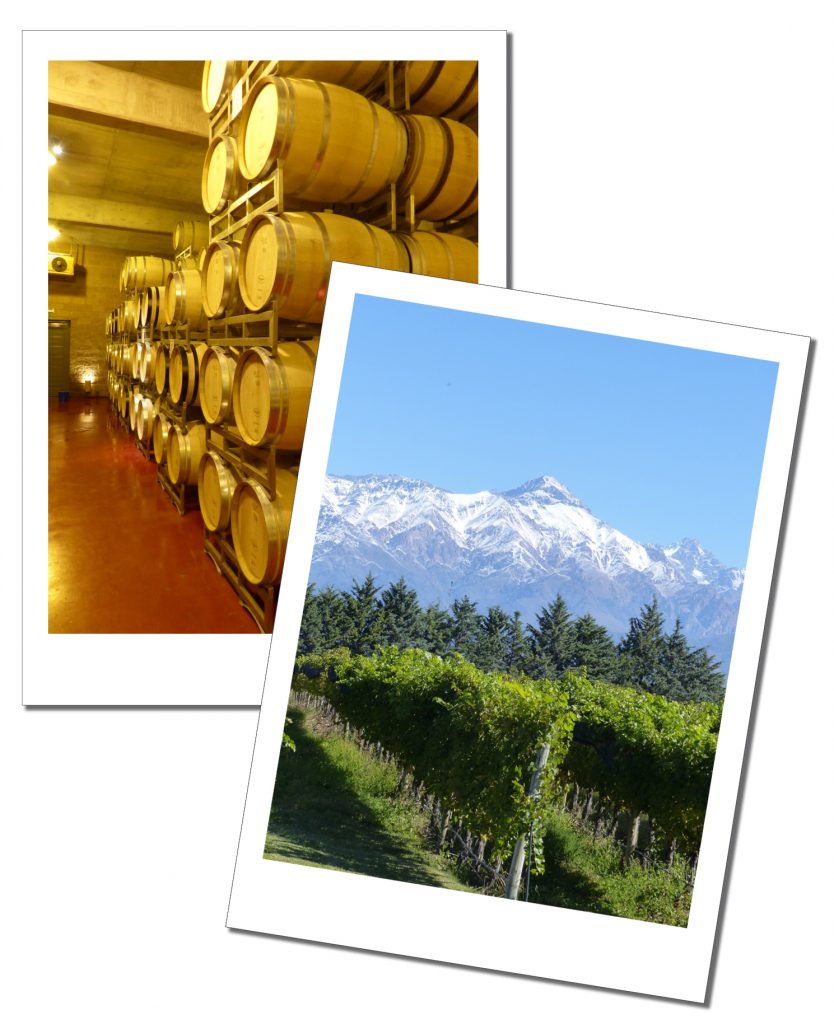 Wine barrels and the vineyard that fills them, at Bodega Ruca Malen, Mendoza, Argentina, A First Timer's Guide to Argentina