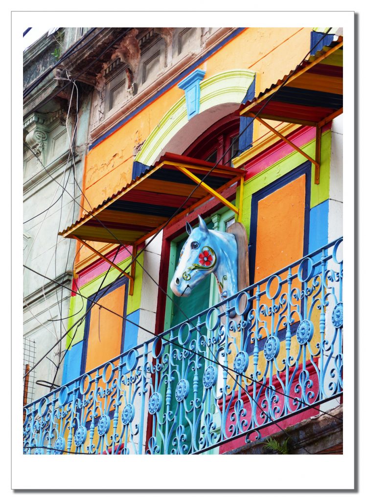 A horses head motif, Argentina