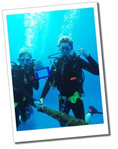 Scuba Diving, Great Barrier Reef, Australia