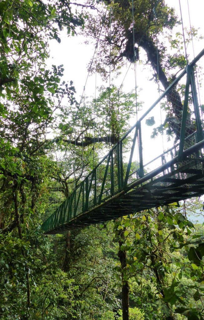 The Hanging Bridges in the forest in Costa Rica