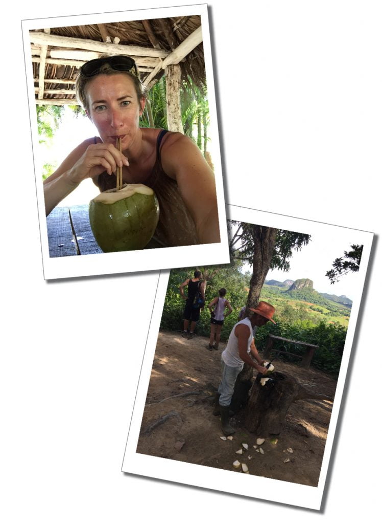 SueWhereWhyWhat drinking from a Coconut