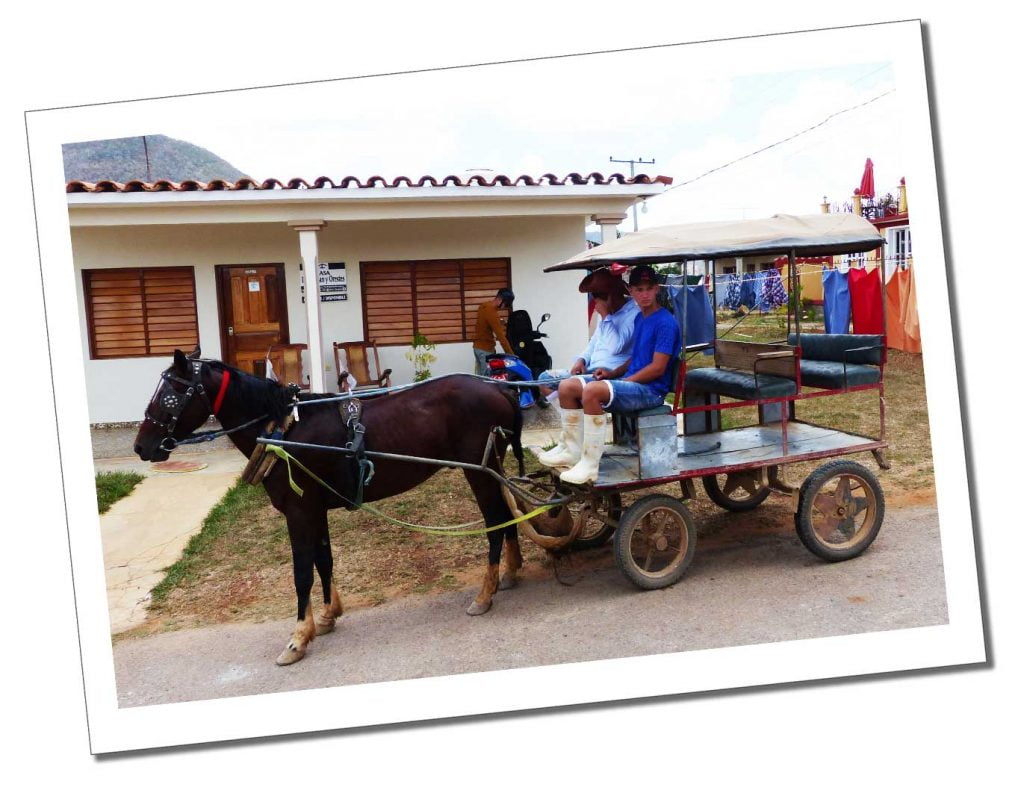 Horse & cart, awaits it's passengers, Viñales, Cuba
