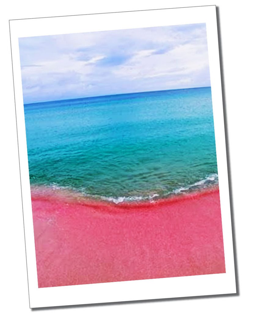Barbuda's pink sandy beach
