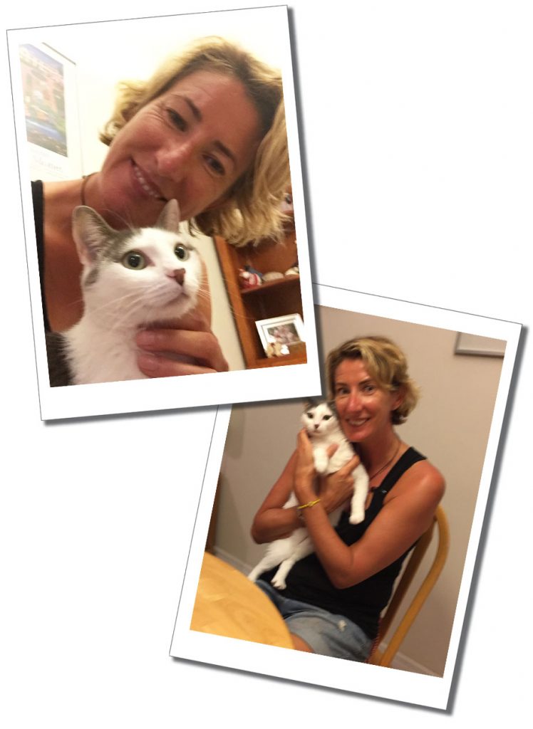 SueWhereWhyWhat & Ivy the Cat