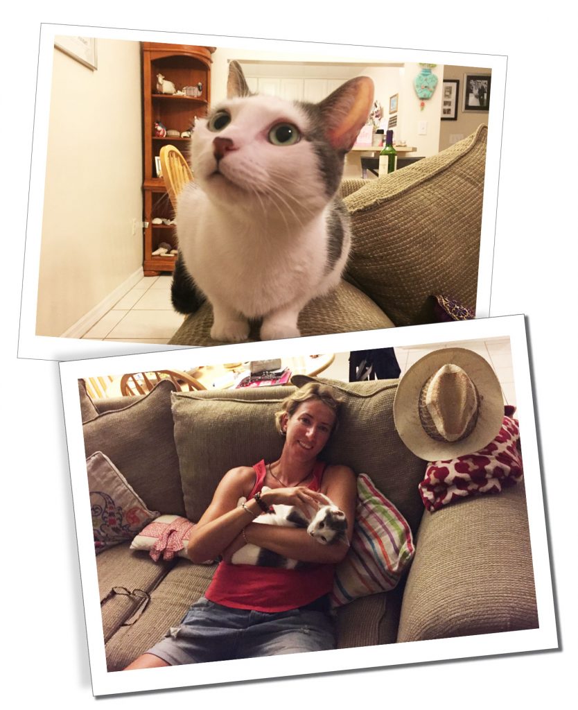 SueWhereWhyWhat & Ivy the Cat