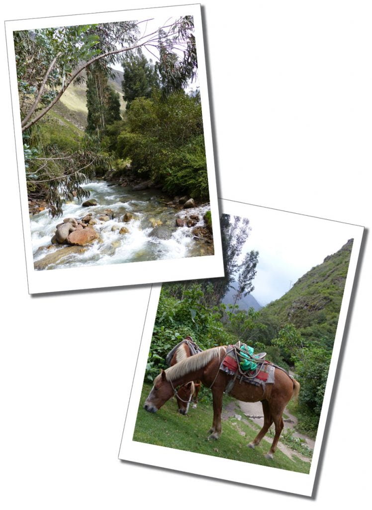 Horses and Rivers, Inca Trail