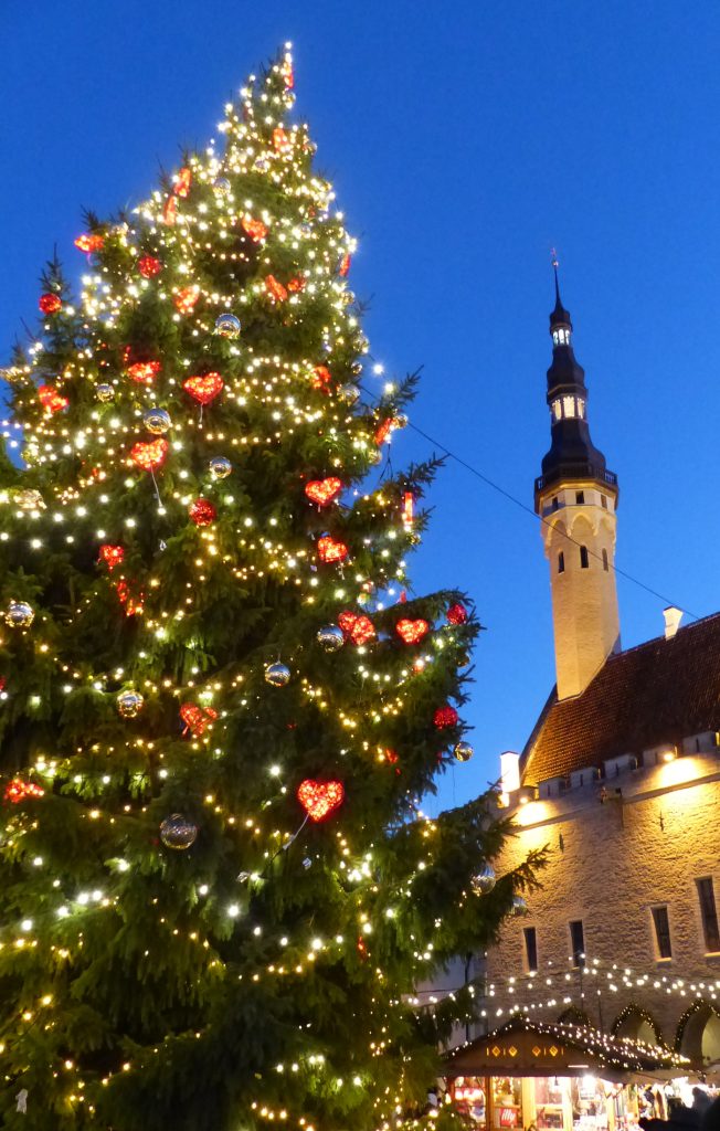 Christmas tree by the Town Hall, Tallinn, Estonia