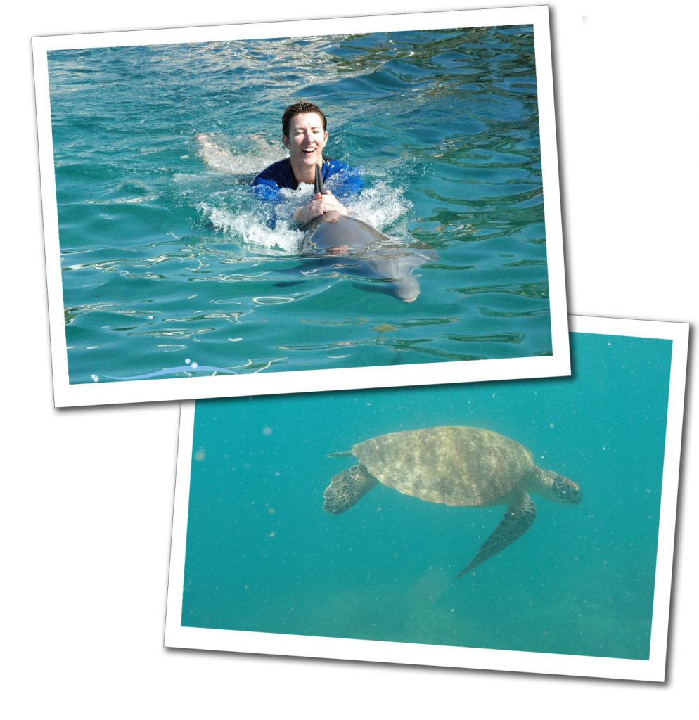 SueWhereWhyWhat rides a dolphin in the sea and an underwater turtle