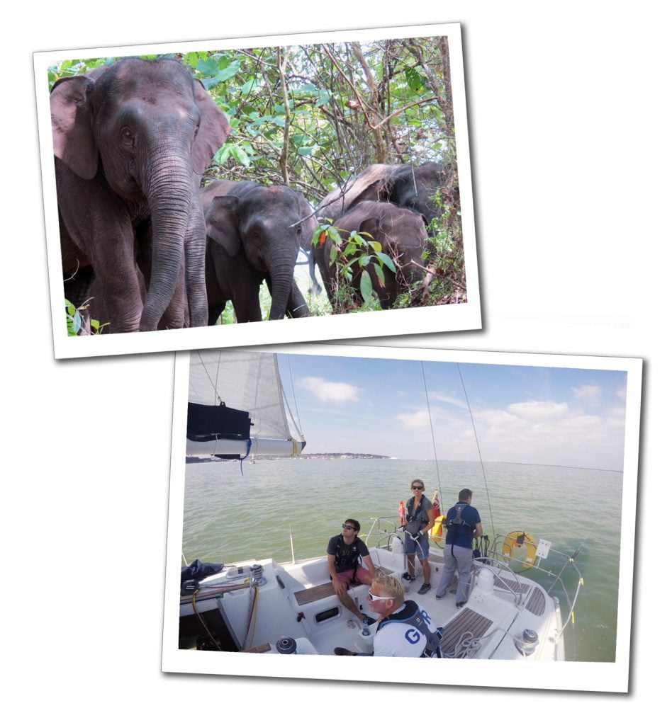 Elephants in Indonesia and Solent Sailing