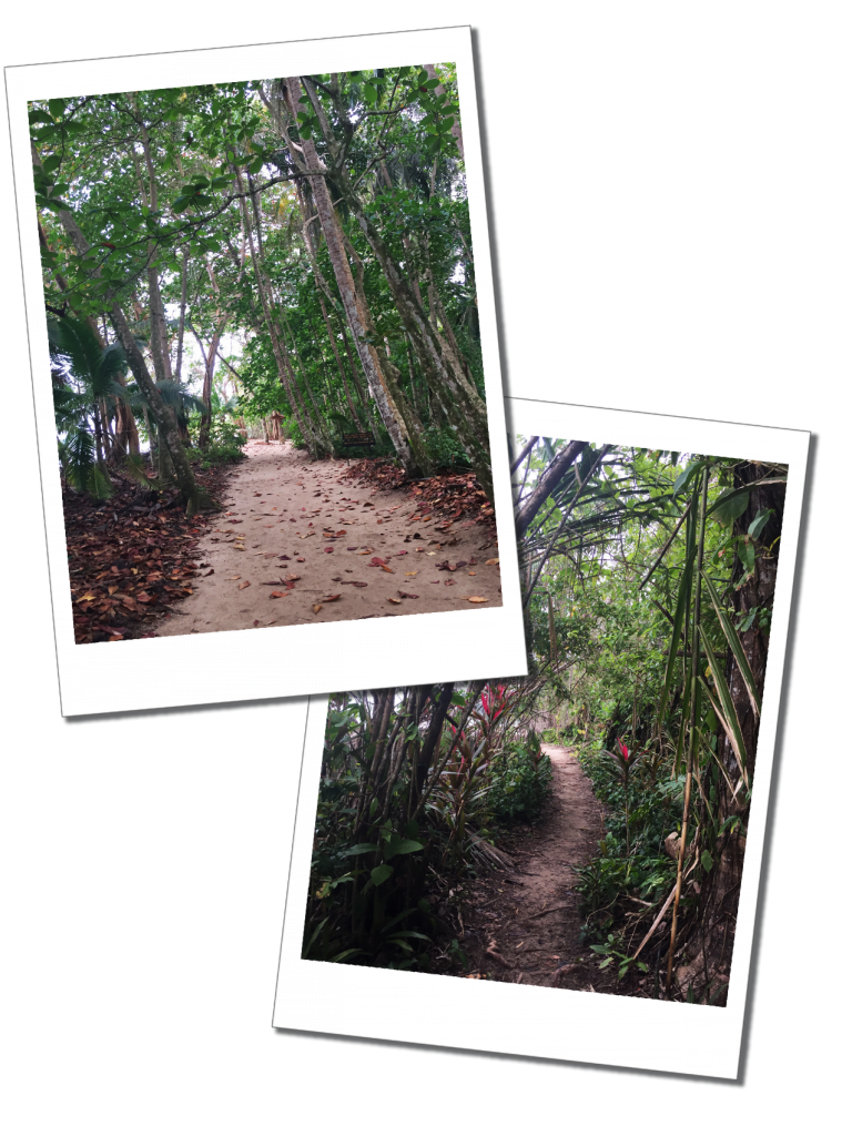 Cahuita National Park, Costa Rica