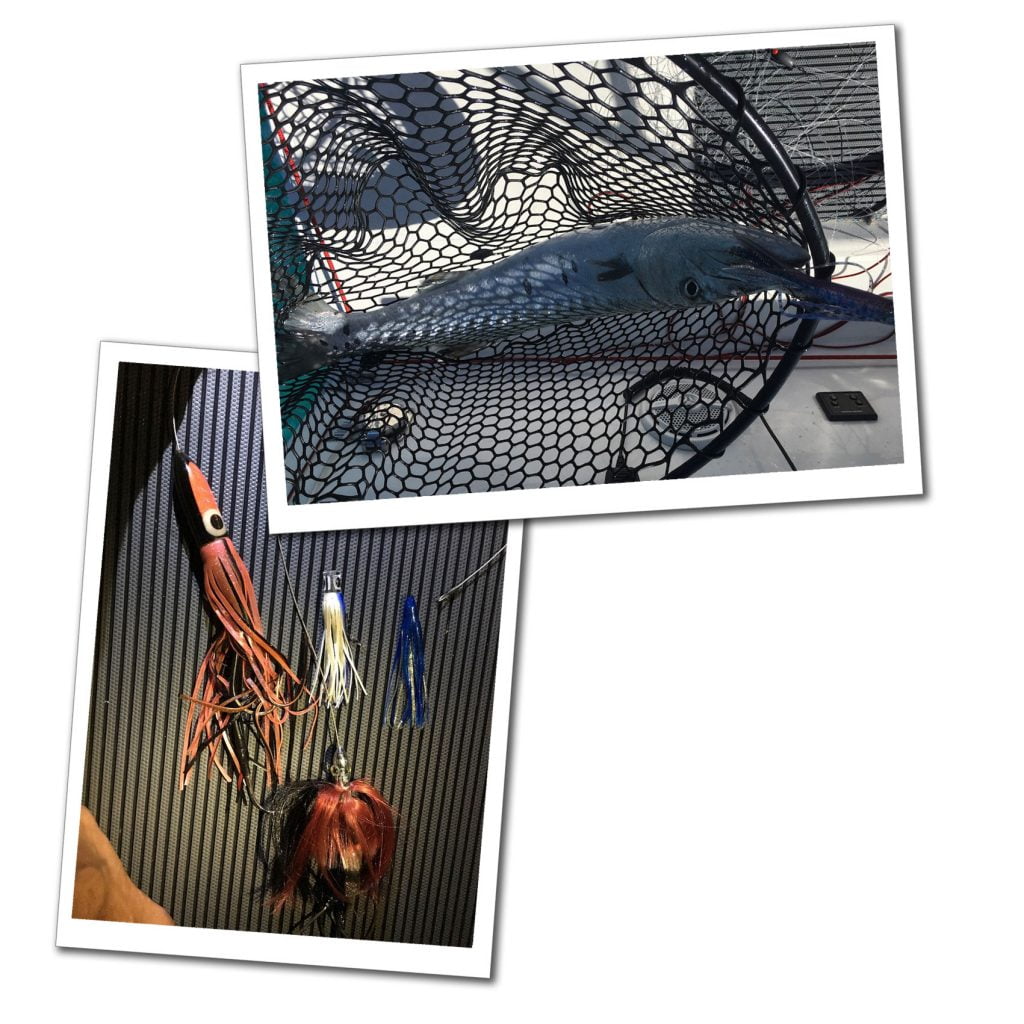A Fish in a net & fishing tackle