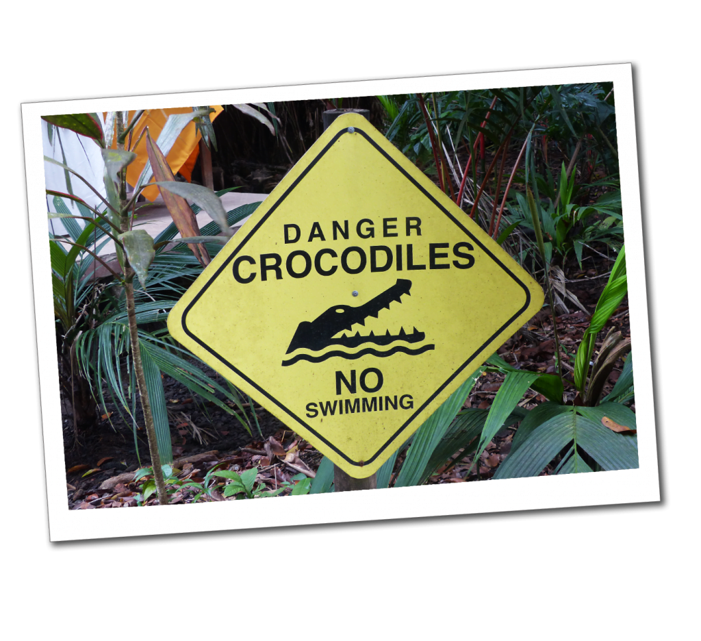 A Danger sign, No Swimming