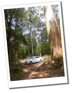 Hiking as a solo female. White car parked in the woods, Bluff Knoll, Australia. 
