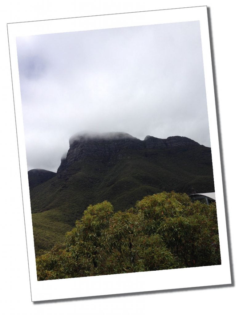 The misty summit, Bluff Knoll