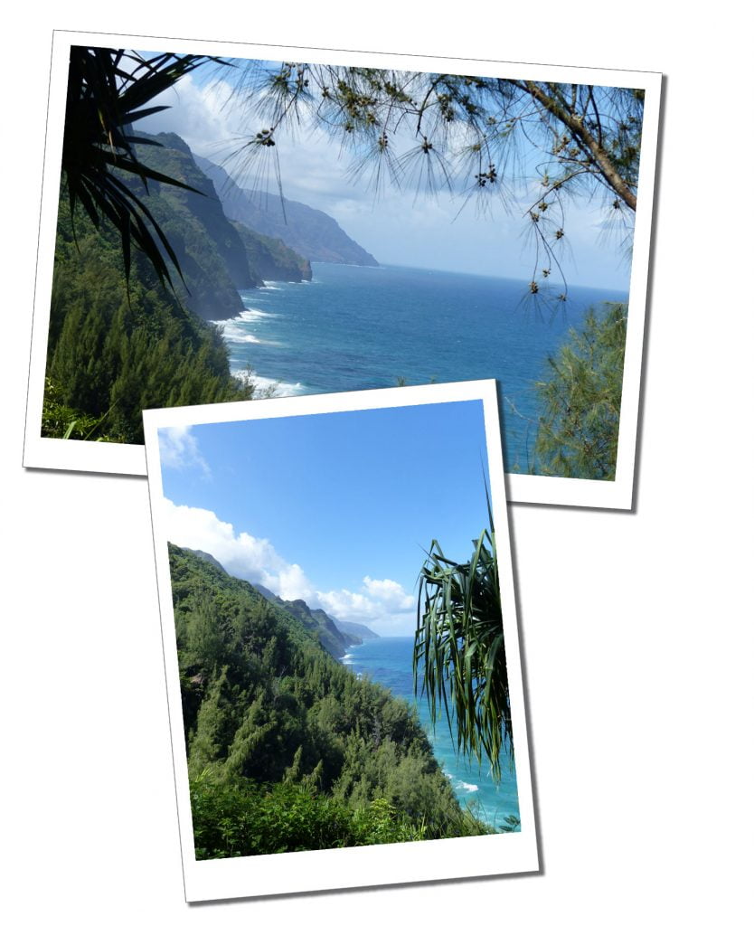 Treelined cliffs & the sea on the Kalalau Trai, Hawaii