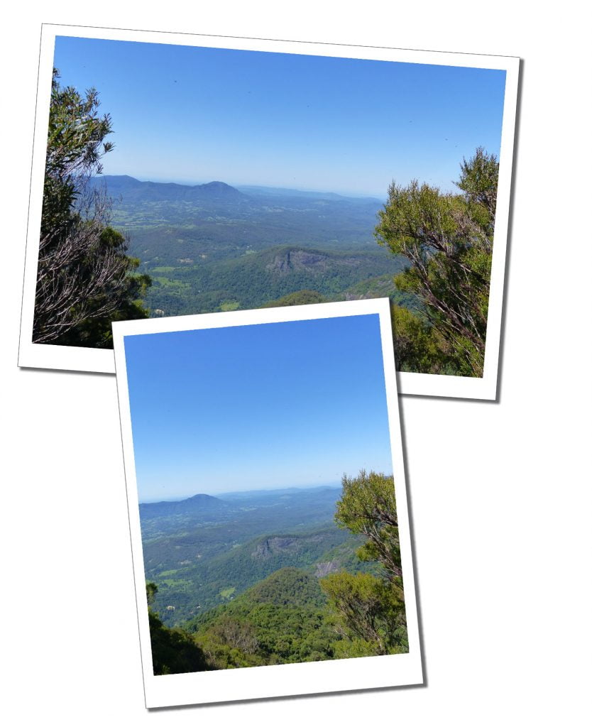 Views from the Summit of Mount Warning