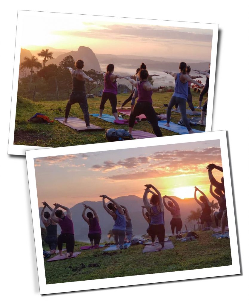 A group of people sitting on yoga matts on a flat area above palm trees doing yoga moves facing a dramatic yellow sunrise