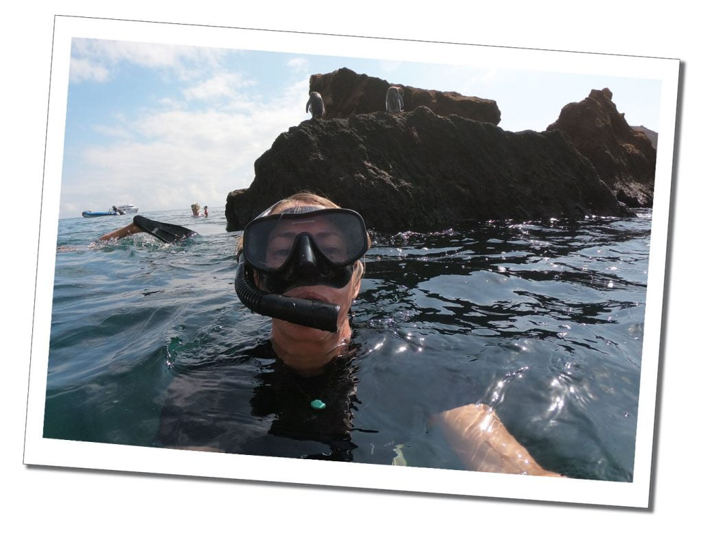 Bartolome-Snorkelling-Penguins