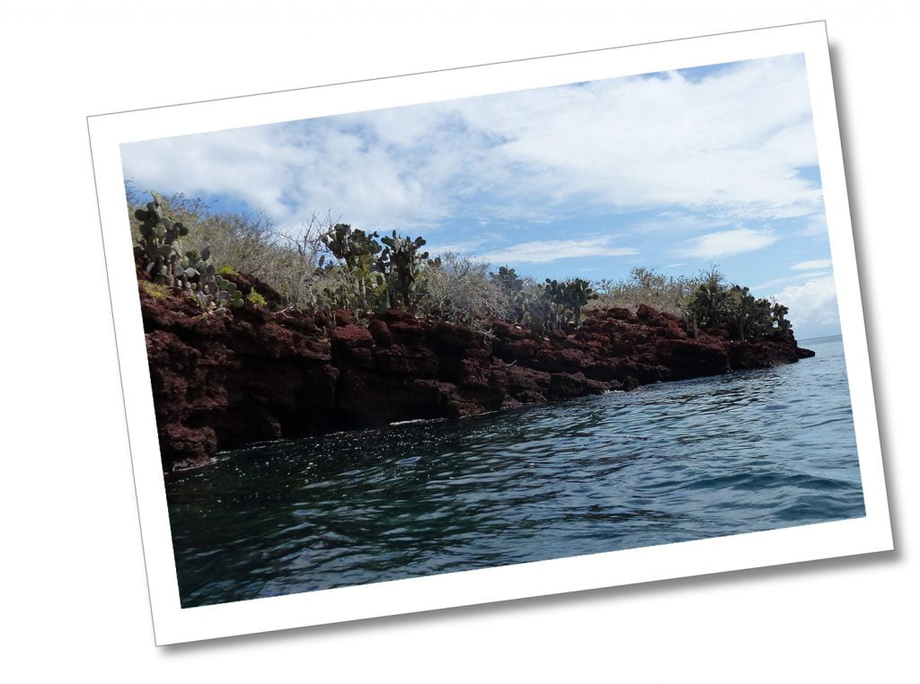 Rabid, Galápagos Islands, Ecuador.