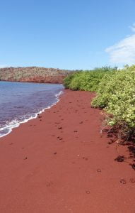 Rabida Red Beach, Galápagos Islands, Ecuador