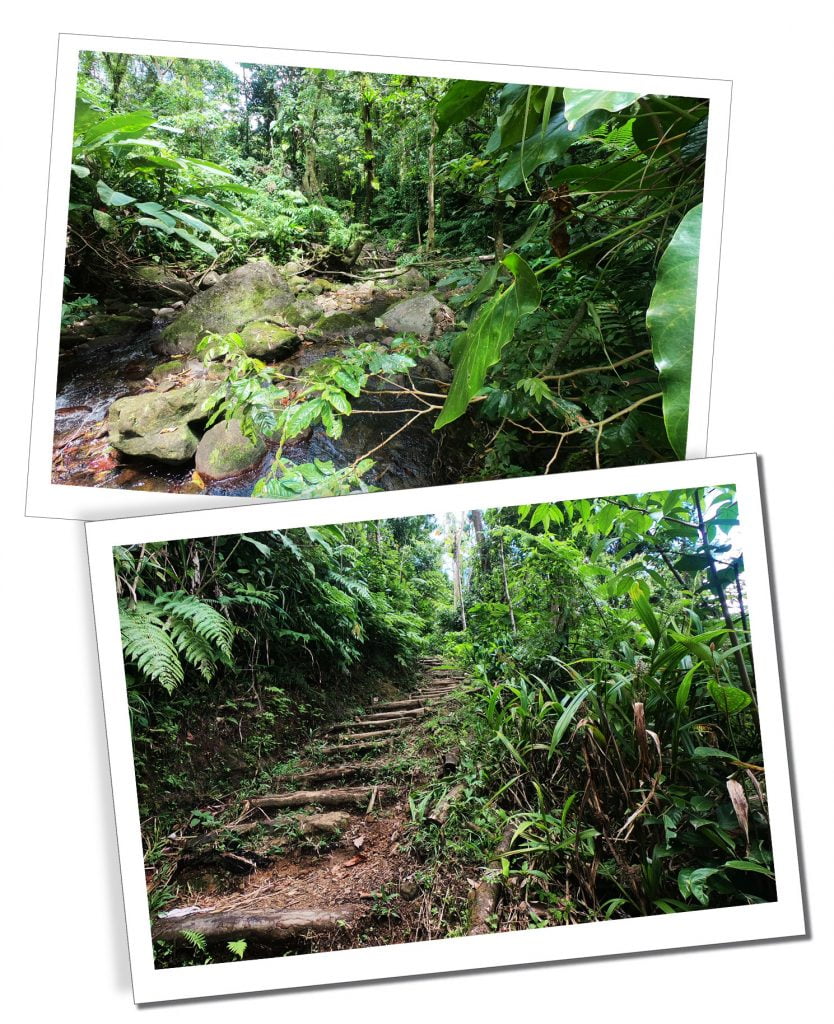 Waitukubuli-Trail, Dominica, Caribbean