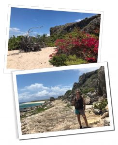SWWW with Two Foot Bay's wild beauty, A Day Trip To Barbuda – Reasons Not To Miss