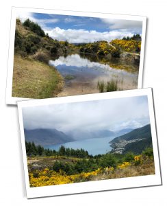 Views of the lake & surrounding countryside during the Queenstown Hike, New Zealand