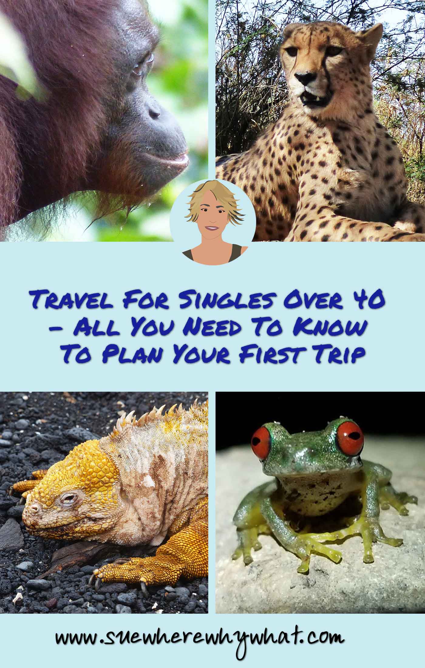 Travel For Singles Over 40 – All You Need To Know To Plan Your First Trip