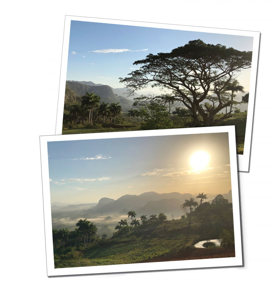 Two views at sunrise of palm trees and mountains in a remote landscape