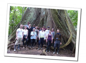 A group of tourists standing at the base of a giant tree root in the amazon jungle