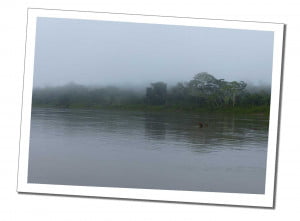 River Amazon in cloud, 10 Essential Things to Know before Visiting the Amazon in Peru