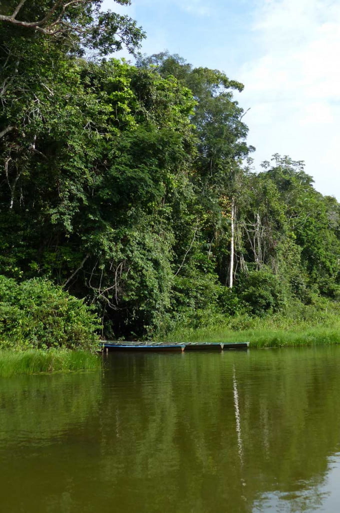 10 Essential Things to Know before Visiting the Amazon in Peru