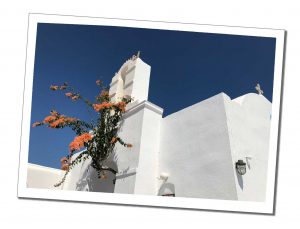 Flowers on a white wall in Naousa What to Do in Paros for 2 Days – Your Perfect Itinerary