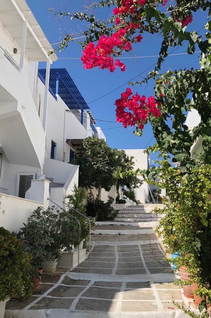 White washed walls and beautiful flowers in The Back streets of Naousa, Paros