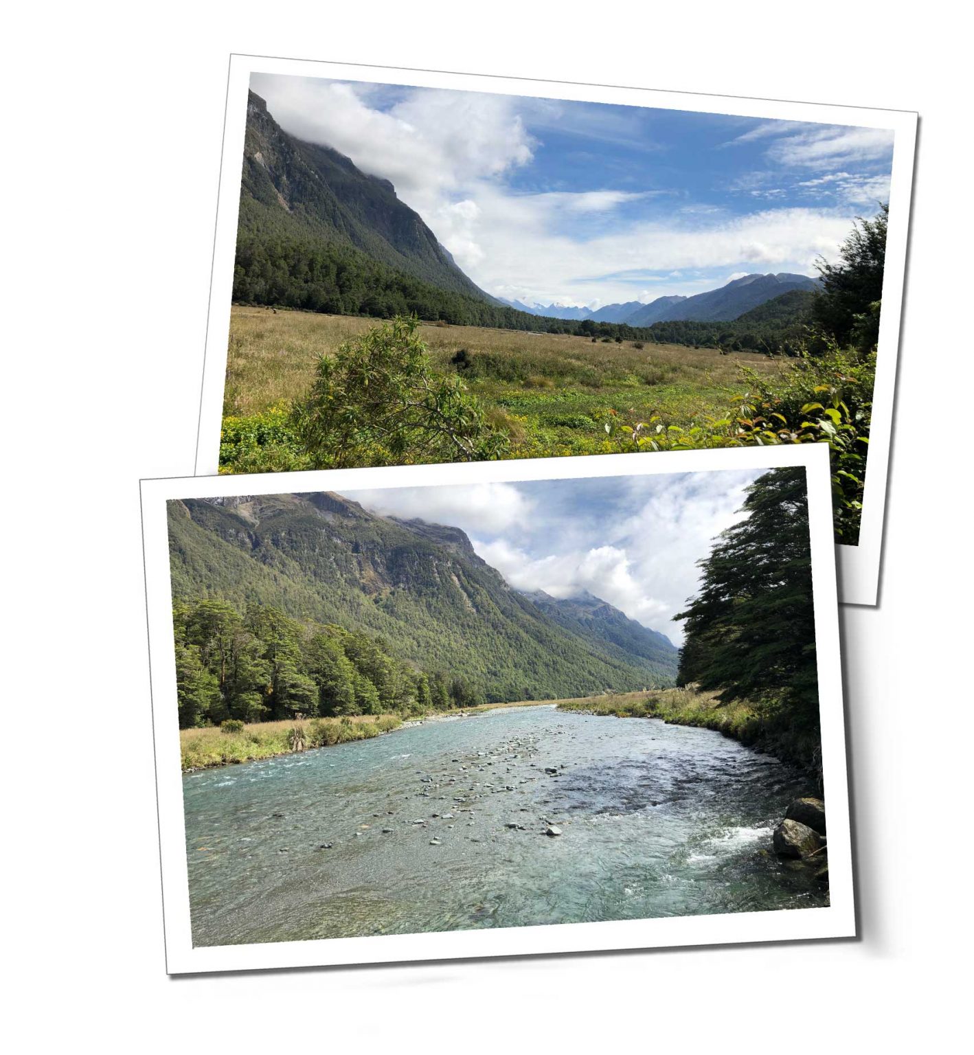 Te Anau to Milford Sound Road Trip Everything you need to know to