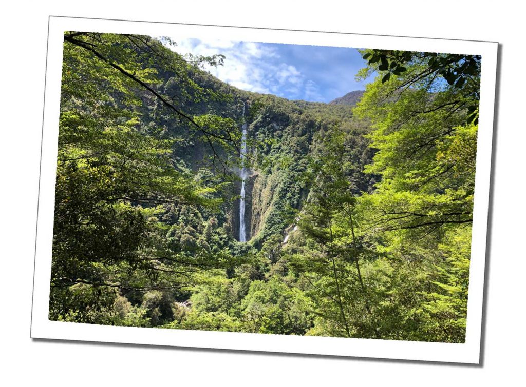 A dramatic distant waterfall crashes from a tree lined horizon at Humboldt Falls, Milford Sound