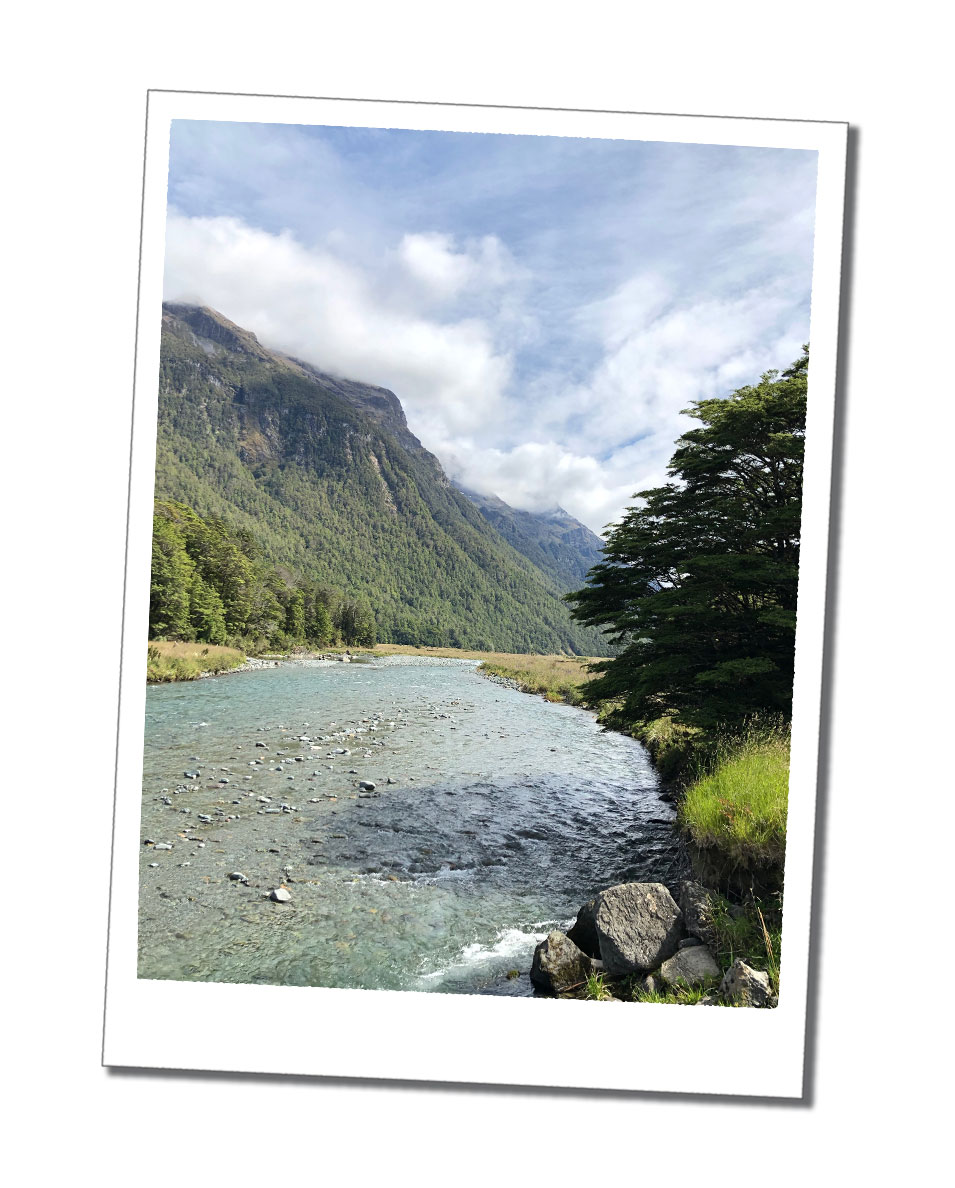 Te Anau to Milford Sound Road Trip Everything you need to know to
