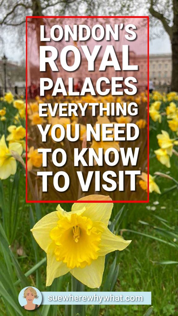 A carpet of yellow daffodils with a distant view of the crowds outside buckingham palace with white text overlay