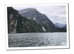 Milford Sound - Everything you need to know before Visiting Milford Sound