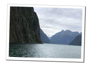 Milford Sound - Everything you need to know before Visiting Milford Sound