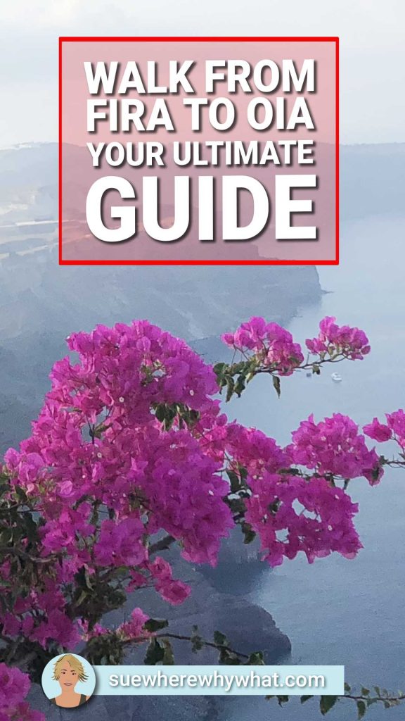 Pink flowers high above the cliffs looking at the sea with a red box and white writing overlay