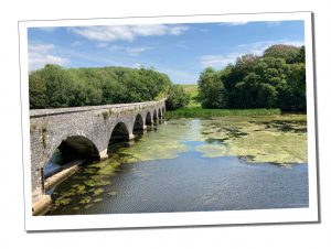 A stone bridge with arches stretching across a lily pad strewn river on a sunny day
