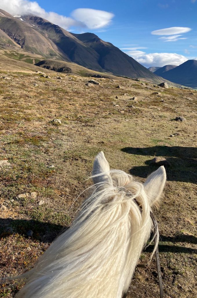 A view of a mossy hill and mountains from the back of a white horse