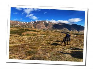 A person riding a black horse across a remote tundra