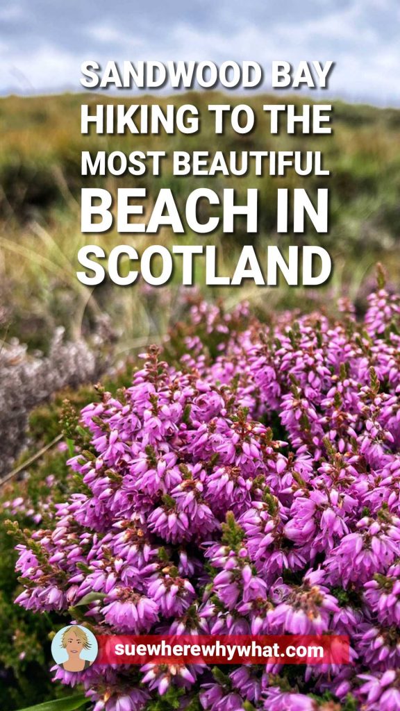 Pink heather on moorland with large red and white text overlay