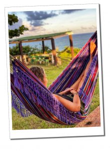 A person reclining in a purple hammock on a sunny day looking out to sea